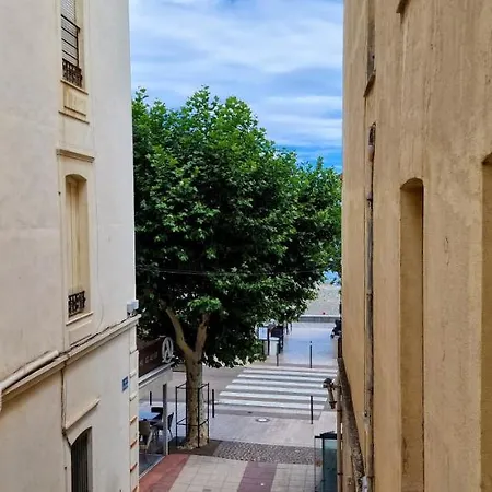 Appartement En Bord De Mer 3 Banyuls-sur-Mer Buitenkant foto
